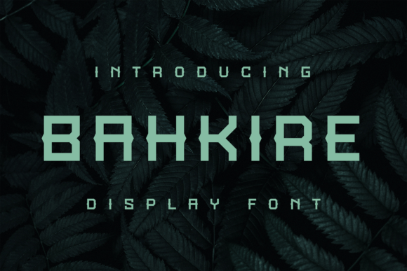 Bahkire: A Funky Display Font for Modern Branding
