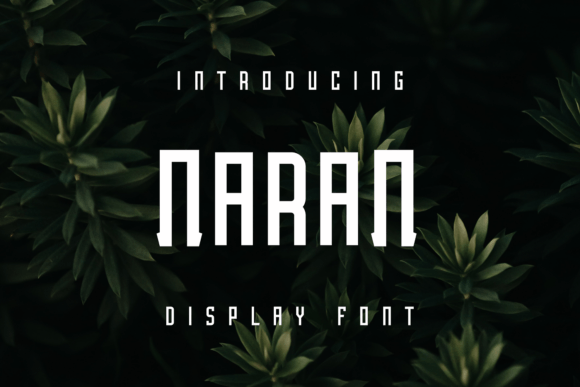 Naran Display Font for Editorial Design